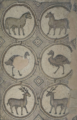 Jordan Petra 2013 2287c Byzantine Church mosaic.jpg