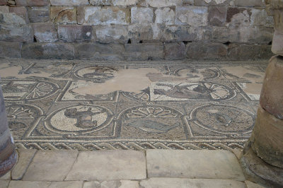 Jordan Petra 2013 2291b Byzantine Church mosaic.jpg