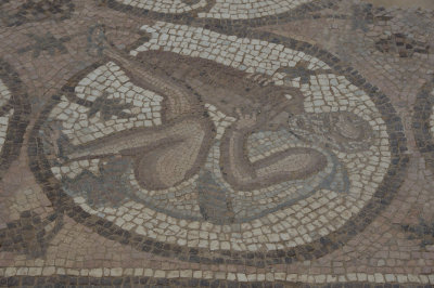 Jordan Petra 2013 2292 Byzantine Church mosaic.jpg