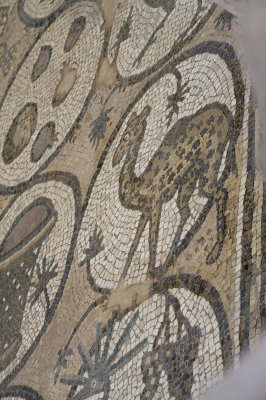 Jordan Petra 2013 2295b Byzantine Church mosaic.jpg