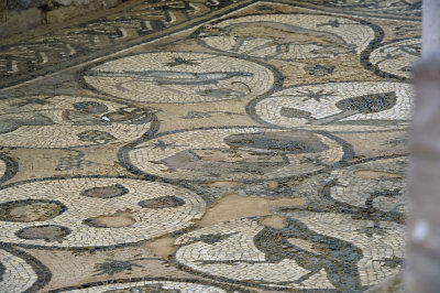 Jordan Petra 2013 2296b Byzantine Church mosaic.jpg