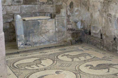 Jordan Petra 2013 2297b Byzantine Church mosaic.jpg