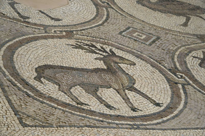 Jordan Petra 2013 2298b Byzantine Church mosaic.jpg