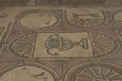 Jordan Petra 2013 2300 Byzantine Church mosaic.jpg