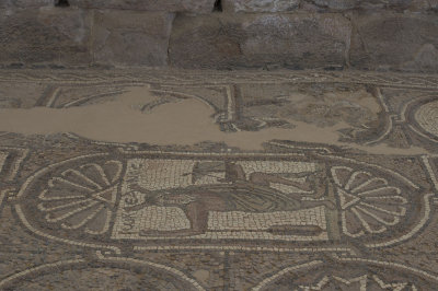 Jordan Petra 2013 2303 Byzantine Church mosaic.jpg