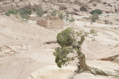 Jordan Petra 2013 1934.jpg