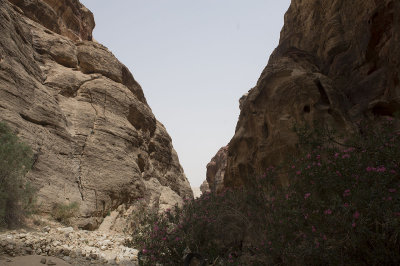Jordan Petra 2013 2147 Wadi Muthlim.jpg
