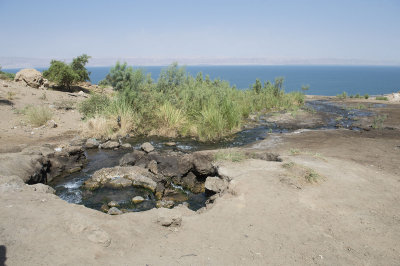 Jordan Dead Sea 2013 2590.jpg