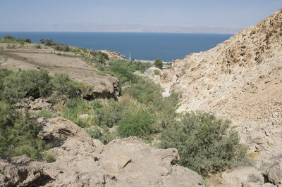 Jordan Dead Sea 2013 2601.jpg
