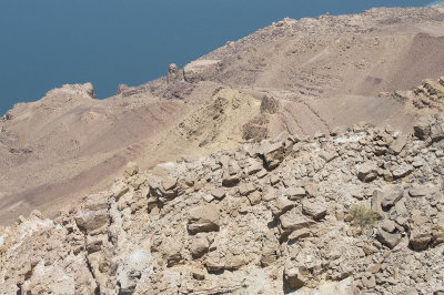 Jordan Dead Sea 2013 2635.jpg