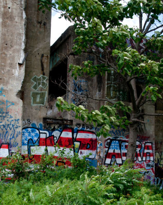 g9/85/1104185/3/151054208.ybS3BdgC.jpg