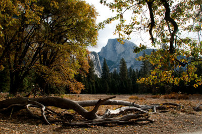 Half Dome