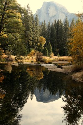 Reflections