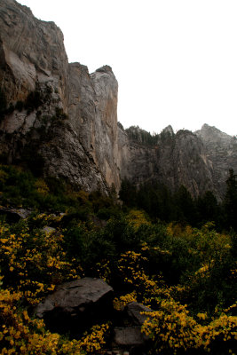 Gold below the Cliff