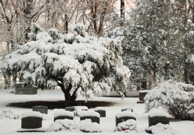 Cemetery