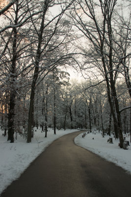 Down the Road