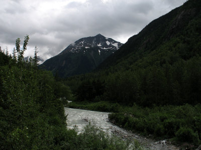 IMG_3461.jpg