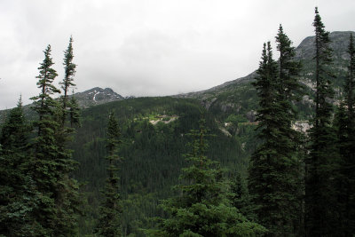 IMG_3468.jpg