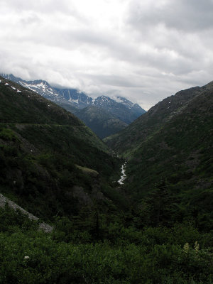 IMG_3484.jpg