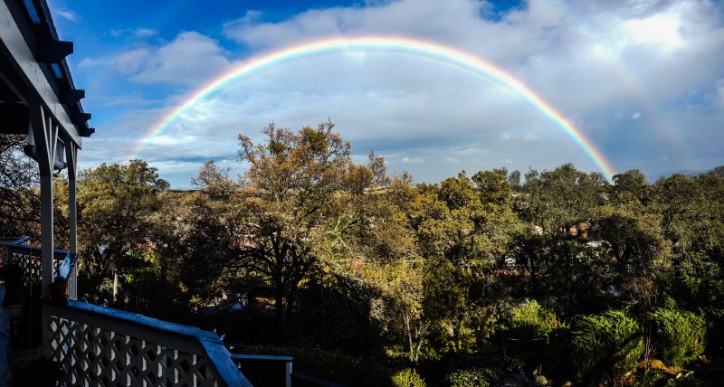 Rainbow Surprise