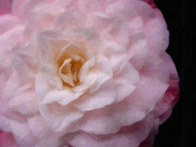 g9/85/284285/3/155937878.Tz9odGwM.jpg