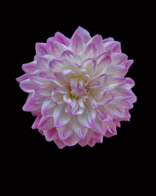 g9/85/284285/3/156988236.vqGdpqwj.jpg