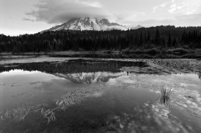 08_1998 Rainier THURS 14 BW.jpg