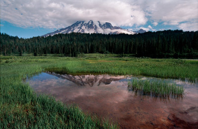 08_1998 Rainier Thurs Color #18,19 .jpg