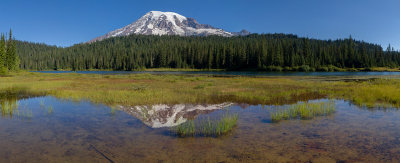 08_2015_Rainier in the Pond Final Man.jpg