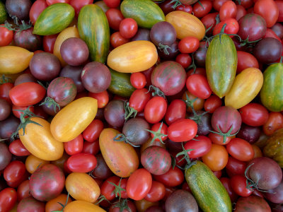 Varied Tomatos