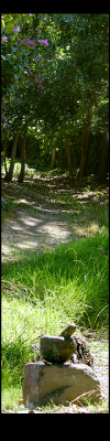 Ohlone_img_1793-1795hdr-DPCusmB.jpg