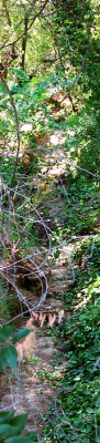 PineCrk_img_1744-1746hdrDPCusm.jpg
