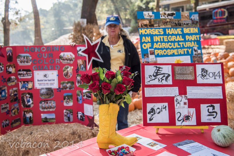 Virginia Bacon 2014 Day of the Horse-0092.jpg