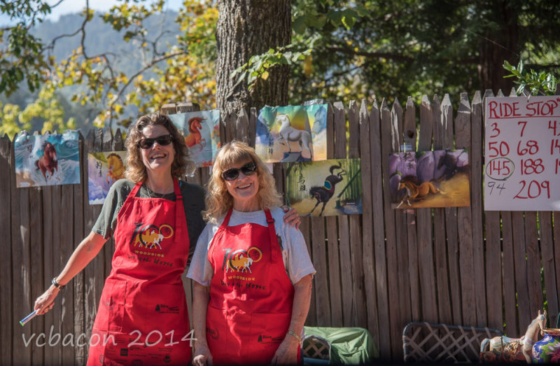Virginia Bacon 2014 Day of the Horse-0101.jpg