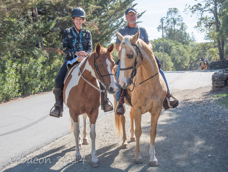 Virginia Bacon 2014 Day of the Horse-0156.jpg