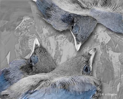 Nested Eyes