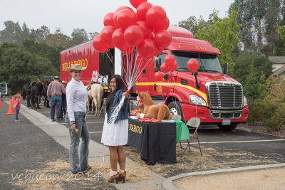 2014 Day of the Horse in Woodside, California