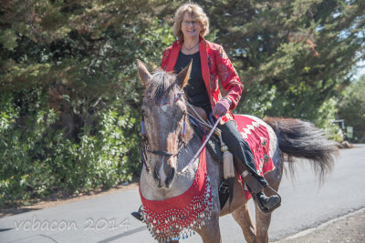 Virginia Bacon 2014 Day of the Horse-0151.jpg