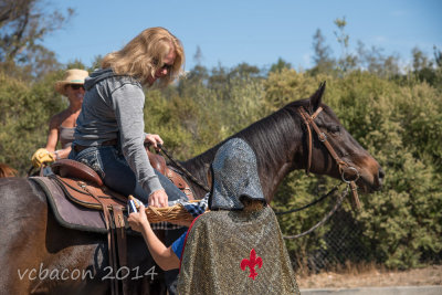 Virginia Bacon 2014 Day of the Horse-0216.jpg