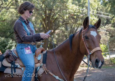 Virginia Bacon 2014 Day of the Horse-0261.jpg