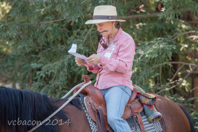 Virginia Bacon 2014 Day of the Horse-0262.jpg