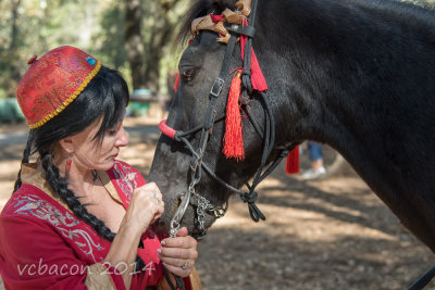 Virginia Bacon 2014 Day of the Horse-0376.jpg