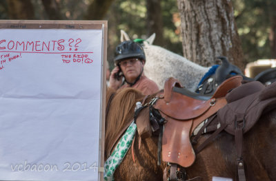 Virginia Bacon 2014 Day of the Horse-0393.jpg