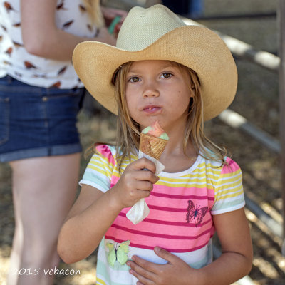 Ice Cream Cowgirl