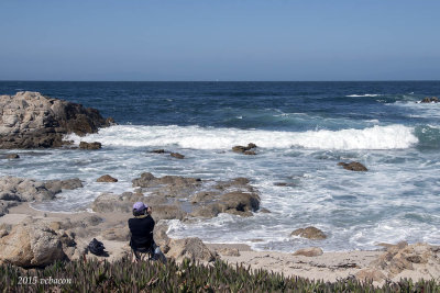 The Pleasures of Monterey and the Coast