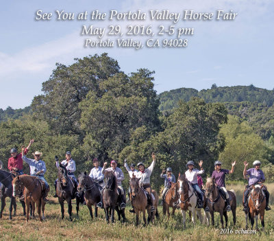 2016 Portola Valley Celebration of the Horse