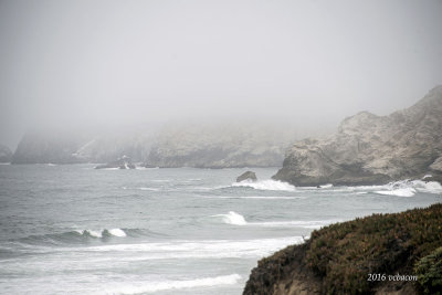 DSC_8454 shore in fog.jpg
