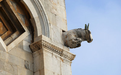 DSC_1484--.jpg