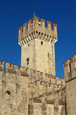 DSC_2352--.jpg