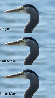 comparison.jpg